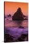 Cormorant and The Sonoma Coast Seascape-Vincent James-Stretched Canvas