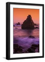 Cormorant and The Sonoma Coast Seascape-Vincent James-Framed Photographic Print