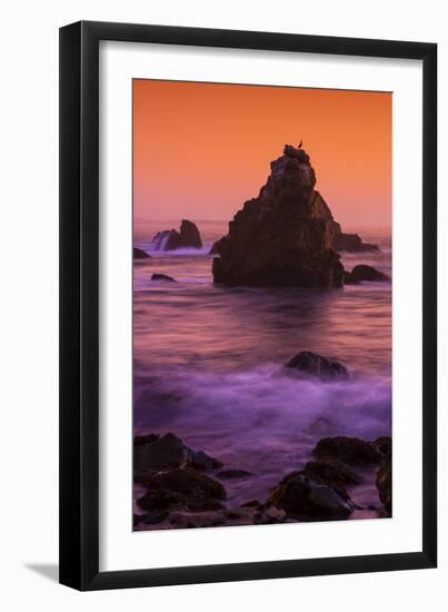 Cormorant and The Sonoma Coast Seascape-Vincent James-Framed Photographic Print