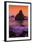 Cormorant and The Sonoma Coast Seascape-Vincent James-Framed Photographic Print