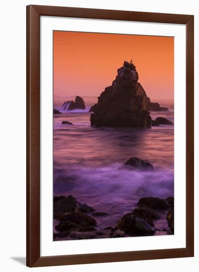 Cormorant and The Sonoma Coast Seascape-Vincent James-Framed Photographic Print