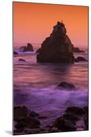 Cormorant and The Sonoma Coast Seascape-Vincent James-Mounted Photographic Print