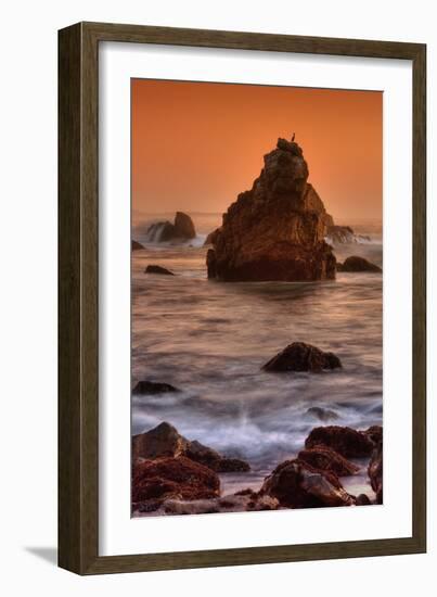Cormorant and the Sonoma Coast-Vincent James-Framed Photographic Print