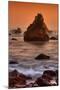 Cormorant and the Sonoma Coast-Vincent James-Mounted Photographic Print