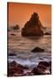 Cormorant and the Sonoma Coast-Vincent James-Stretched Canvas