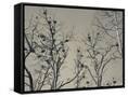 Canvas Black