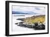 Cormorant Colony on an Island at Ushuaia in the Beagle Channel (Beagle Strait), Argentina-Matthew Williams-Ellis-Framed Photographic Print