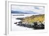 Cormorant Colony on an Island at Ushuaia in the Beagle Channel (Beagle Strait), Argentina-Matthew Williams-Ellis-Framed Photographic Print