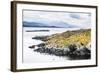 Cormorant Colony on an Island at Ushuaia in the Beagle Channel (Beagle Strait), Argentina-Matthew Williams-Ellis-Framed Photographic Print