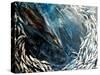 Cormorant Dive-jocasta shakespeare-Stretched Canvas