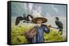 Cormorant Fisherman and His Birds on the Li River in Yangshuo, Guangxi, China.-SeanPavonePhoto-Framed Stretched Canvas