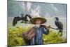 Cormorant Fisherman and His Birds on the Li River in Yangshuo, Guangxi, China.-SeanPavonePhoto-Mounted Photographic Print