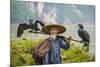 Cormorant Fisherman and His Birds on the Li River in Yangshuo, Guangxi, China.-SeanPavonePhoto-Mounted Photographic Print