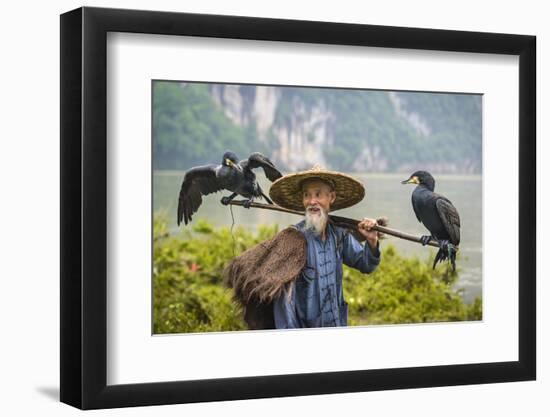 Cormorant Fisherman and His Birds on the Li River in Yangshuo, Guangxi, China.-SeanPavonePhoto-Framed Photographic Print