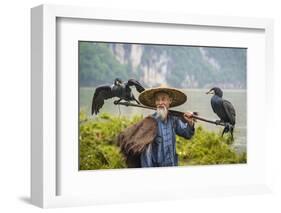 Cormorant Fisherman and His Birds on the Li River in Yangshuo, Guangxi, China.-SeanPavonePhoto-Framed Photographic Print