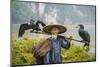 Cormorant Fisherman and His Birds on the Li River in Yangshuo, Guangxi, China.-SeanPavonePhoto-Mounted Photographic Print