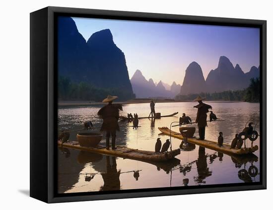 Cormorant, Fisherman, China-Peter Adams-Framed Stretched Canvas