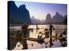 Cormorant, Fisherman, China-Peter Adams-Stretched Canvas