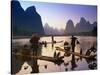 Cormorant, Fisherman, China-Peter Adams-Stretched Canvas