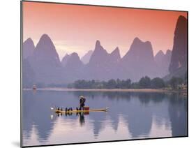 Cormorant Fisherman on Li River, China-Walter Bibikow-Mounted Premium Photographic Print