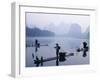 Cormorant Fishermen, Li River, Yangshou, Guilin, Guangxi Province, China-Steve Vidler-Framed Photographic Print