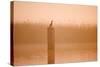 Cormorant on Post in Misty Sunrise with Reedbed Behind-null-Stretched Canvas