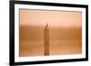 Cormorant on Post in Misty Sunrise with Reedbed Behind-null-Framed Photographic Print