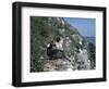 Cormorant-CM Dixon-Framed Photographic Print