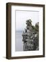 Cormorants and seagulls on rock pile, Kolyuchin Island, Bering Sea, Russian Far East-Keren Su-Framed Photographic Print