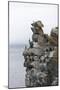 Cormorants and seagulls on rock pile, Kolyuchin Island, Bering Sea, Russian Far East-Keren Su-Mounted Photographic Print