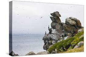 Cormorants and seagulls on rock pile, Kolyuchin Island, Bering Sea, Russian Far East-Keren Su-Stretched Canvas