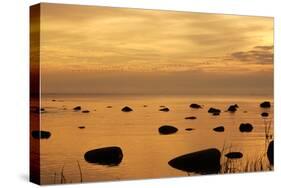 Cormorants in Flight at Sunset-null-Stretched Canvas