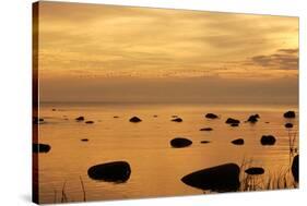 Cormorants in Flight at Sunset-null-Stretched Canvas