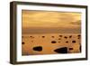 Cormorants in Flight at Sunset-null-Framed Photographic Print