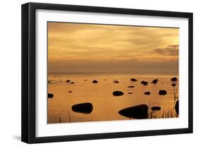 Cormorants in Flight at Sunset-null-Framed Photographic Print