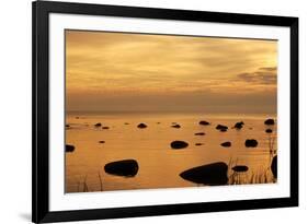 Cormorants in Flight at Sunset-null-Framed Photographic Print