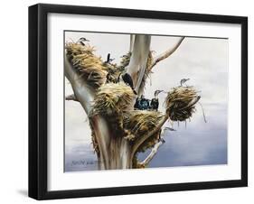 Cormorants- Lake Naivasha, 1984-Sandra Lawrence-Framed Giclee Print