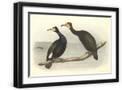 Black Frame