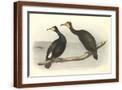Brown Frame