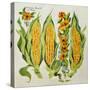 Corn and Marrow Flowers, 2014-Jennifer Abbott-Stretched Canvas