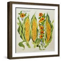 Corn and Marrow Flowers, 2014-Jennifer Abbott-Framed Giclee Print