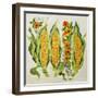 Corn and Marrow Flowers, 2014-Jennifer Abbott-Framed Giclee Print