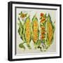 Corn and Marrow Flowers, 2014-Jennifer Abbott-Framed Giclee Print