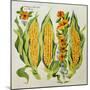 Corn and Marrow Flowers, 2014-Jennifer Abbott-Mounted Giclee Print