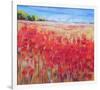 Corn And Poppies IV-null-Framed Premium Giclee Print