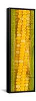 Corn Cob Silk-Steve Gadomski-Framed Stretched Canvas