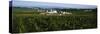 Corn Crop Grown in a Field, Amish Farm, Lancaster County, Pennsylvania, USA-null-Stretched Canvas