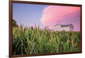 Corn Crop-Donnie Quillen-Framed Art Print