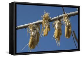 Corn Drying in the Sun at Fort Berthold, North Dakora-Angel Wynn-Framed Stretched Canvas