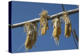 Corn Drying in the Sun at Fort Berthold, North Dakora-Angel Wynn-Stretched Canvas